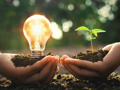 Knotship Trading and Engineering services